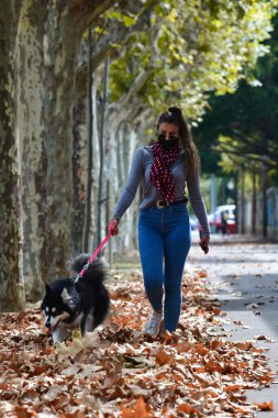Gözlük takan, maske takan ve köpeğini pembe bir tasmayla kuru yaprakların üzerinde gezdiren bir kadının görüntüsü. Sonbahar ve evcil hayvan konsepti