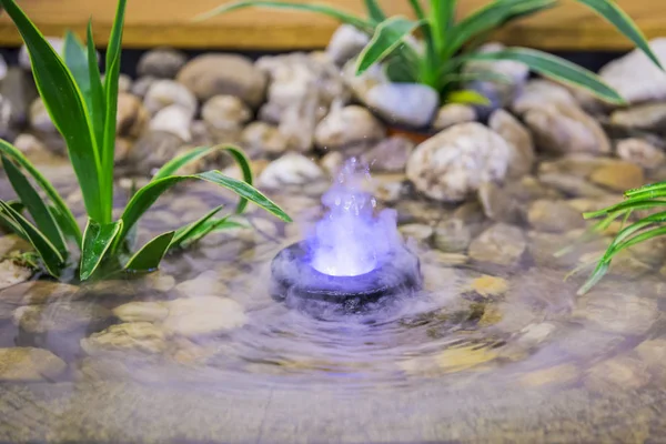 A pond in the interior, a small fountain with color illumination, landscape design of a small pond.