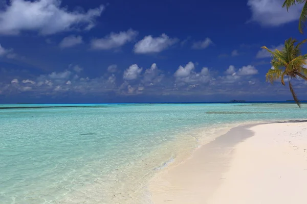 Magnífica Vista Línea Playa Arena Blanca Maldivas Océano Índico Agua —  Fotos de Stock