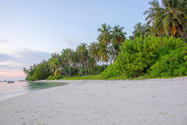 Hermosa Vista Costa Una Isla Océano Índico Maldivas Playa Arena — Foto de Stock