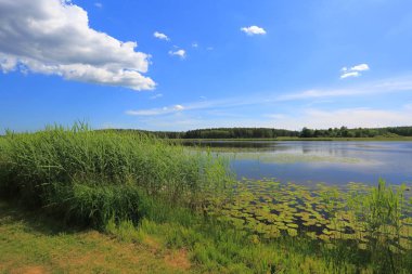 Muhteşem doğa manzara bir yaz gününde. Yeşil boyalar, ayna su yüzey ve mavi gökyüzü ile kar beyaz bulutlar. Şaşırtıcı doğa manzara arka plan. 