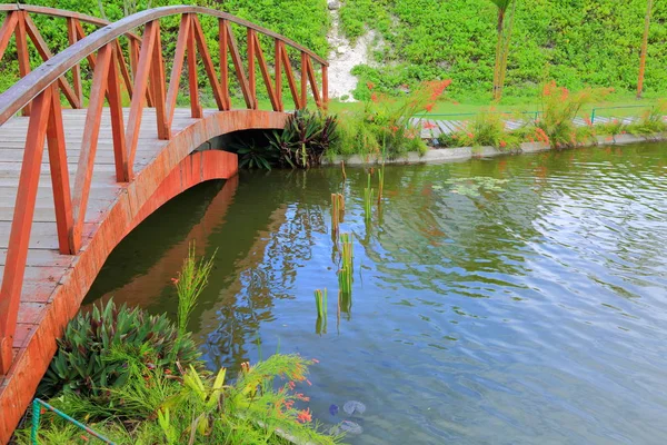 Hermosa Vista Cerca Del Puente Madera Sobre Pequeño Estanque Con — Foto de Stock