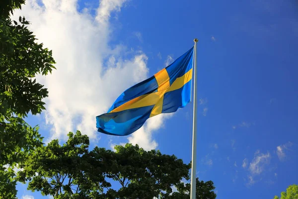 Beautiful View Swedish Flag Green Trees Blue Sky White Clouds — Stock Photo, Image