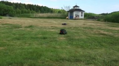 Oyuncak arabalar çimenlerin üzerine yaz günü sürüş birkaç radyo kontrollü. Hobi kavramı.