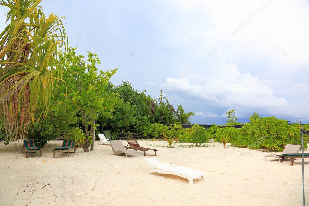 Beautiful view of bikini beach place on an island, Maldives, Indian Ocean. Empty sun beds on white sand surrounded with green plants. Vacation concept.