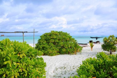 Güzel bir bikini plaj manzarası bir adada, Maldivler, Hint Okyanusu yerleştirin. Boş şezlong üzerinde beyaz kum yeşil bitkilerle çevrili. Tatil kavramı.