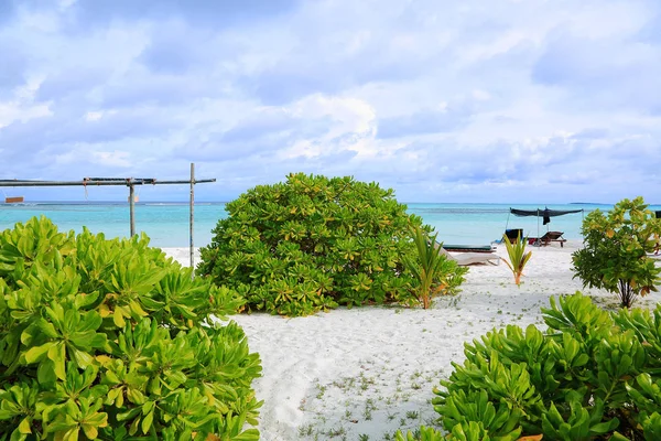 Güzel bir bikini plaj manzarası bir adada, Maldivler, Hint Okyanusu yerleştirin. Boş şezlong üzerinde beyaz kum yeşil bitkilerle çevrili. Tatil kavramı.