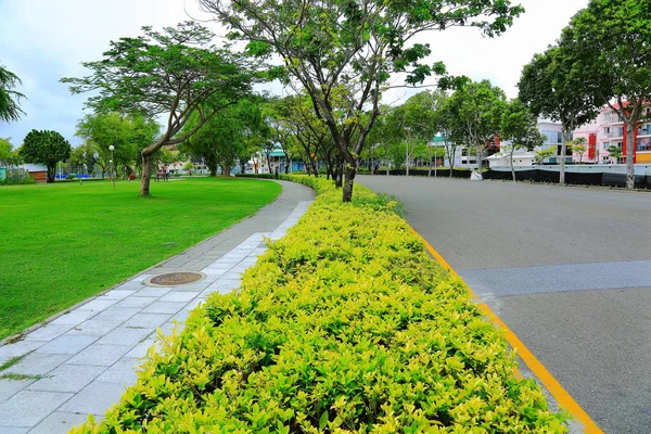 Vista Hermosa Calle Con Árboles Verdes Césped Verde Isla Hulhumale — Foto de Stock