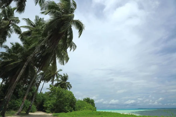 Gorgeous View Natural Tropical Landscape Maldives Indian Ocean Beautiful Green — Stock Photo, Image