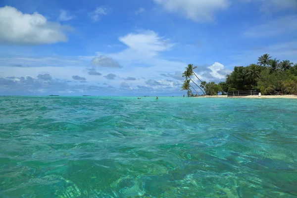 Increíble Vista Del Océano Índico Maldivas Agua Azul Turquesa Playa — Foto de Stock