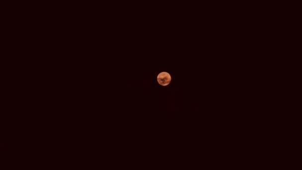 月亮在月蚀期间美丽的景色2018 真正的时间 华丽的自然背景 — 图库视频影像