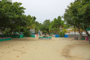 Görünümü izole pembe çiçek kadar güzel yakın. Yeşil arka plan üzerinde yapraklar. Güzel doğa arka planları.