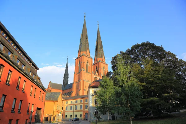 Increíble Vista Antigua Catedral Histórica Con Árboles Verdes Frente Cielo — Foto de Stock