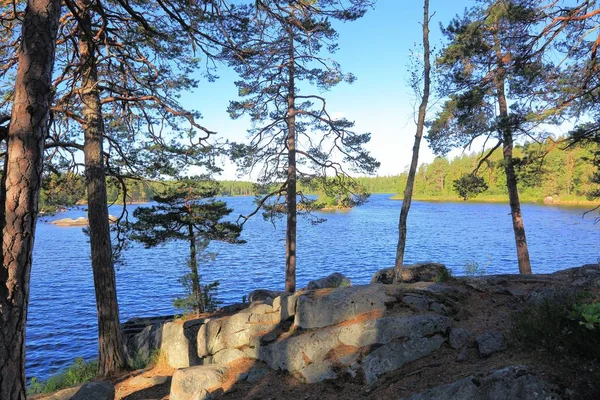 Schöne Aussicht Auf Den See Durch Grüne Hohe Bäume Auf — Stockfoto