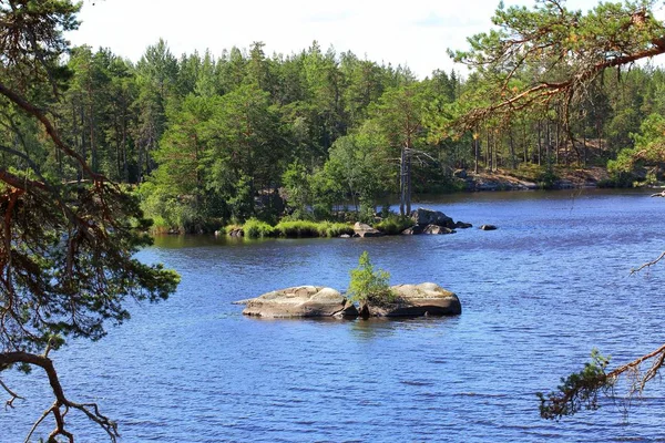 Kaunis Näköala Järvelle Iso Kivinen Saari Keskellä Vihreitä Mäntyjä Ympärillä — kuvapankkivalokuva