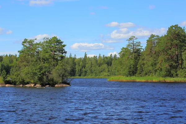 豪華な自然風景の美しい景色 青い青い空を背景に湖の水と緑の森 スウェーデン ヨーロッパ — ストック写真