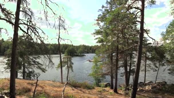 Beautiful View Forest Lake Coast Beautiful Nature Landscape Sweden Europe — Stock Video