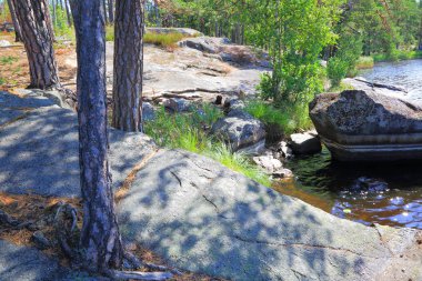 Muhteşem doğa manzaralı kayalık kıyılarının. Renkli doğa arka. İsveç, Europe.