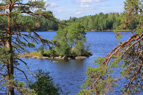 Vacker Utsikt Över Lilla Rock Mitt Sjön Gröna Pinjeträd Och — Stockfoto
