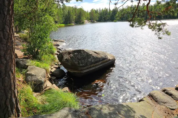 湖の海岸に大きな岩の美しい景色 灰色の水表面の木の緑の葉とは対照的 美しい自然の風景の背景 スウェーデン ヨーロッパ — ストック写真