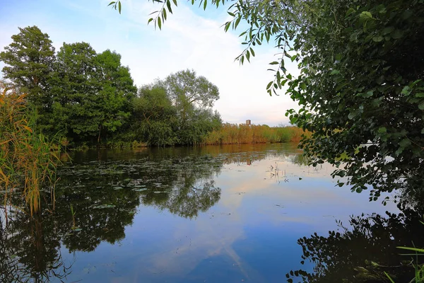 Vue Magnifique Sur Paysage Naturel Jour Été Surface Eau Miroir — Photo