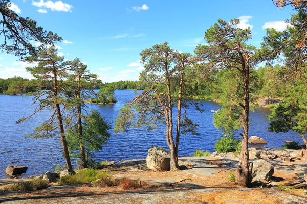 Herrliche Aussicht Auf Den See Durch Hohe Bäume Schöne Naturhintergründe — Stockfoto