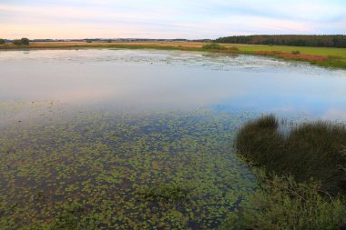 Muhteşem doğa manzaralı günbatımı üzerinde. Güzel doğa arka planları.