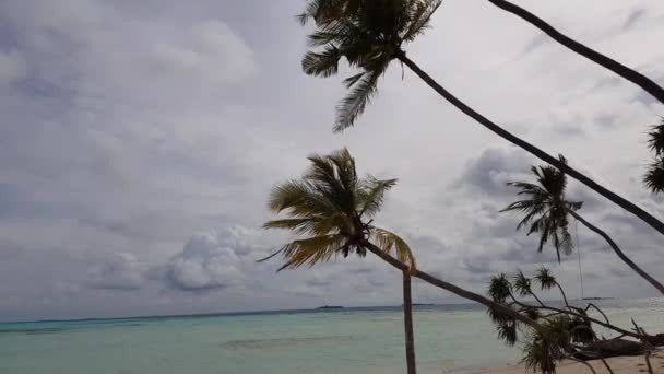 Hermoso Paisaje Tropical Océano Índico Maldivas Playa Arena Blanca Agua — Vídeos de Stock