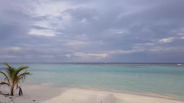 Vue Magnifique Sur Océan Indien Maldives Côte Sable Blanc Eau — Video