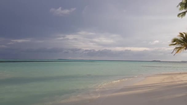 Hint Okyanusu Maldivler Muhteşem Manzarası Beyaz Kum Sahil Hattı Turkuaz — Stok video