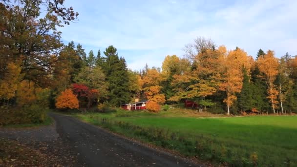 Beau paysage de campagne dans une journée d'automne. Des orangers verts et encore un champ d'herbe verte. Beaux milieux naturels colorés .