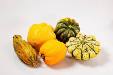 Beyaz arka plan üzerinde izole renkli dekoratif kabaklar grup görünümünü kapatın. Cadılar Bayramı tatil arka plan / kavram.