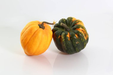 Beyaz arka plan üzerinde izole renkli dekoratif kabaklar grup görünümünü kapatın. Cadılar Bayramı tatil arka plan / kavram.