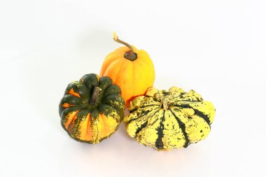 Beyaz arka plan üzerinde izole renkli dekoratif kabaklar grup görünümünü kapatın. Cadılar Bayramı tatil arka plan / kavram.