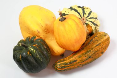 Beyaz arka plan üzerinde izole renkli dekoratif kabaklar grup görünümünü kapatın. Cadılar Bayramı tatil arka plan / kavram.