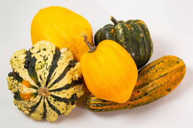 Beyaz arka plan üzerinde izole renkli dekoratif kabaklar grup görünümünü kapatın. Cadılar Bayramı tatil arka plan / kavram.