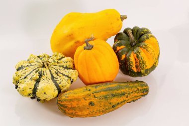 Beyaz arka plan üzerinde izole renkli dekoratif kabaklar grup görünümünü kapatın. Cadılar Bayramı tatil arka plan / kavram.