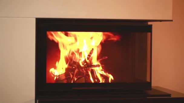 靠近设置的好的看法燃烧木材在火的地方 — 图库视频影像