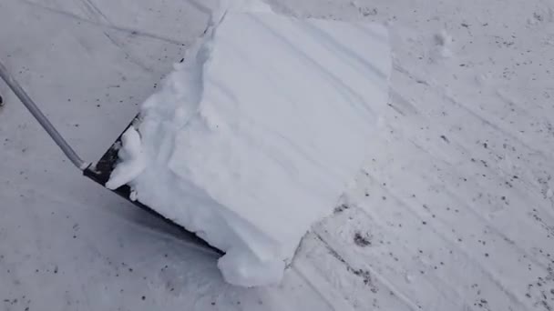 Коротка Плівка Лопата Снігу Великою Лопатою Красиві Зимові Фони — стокове відео