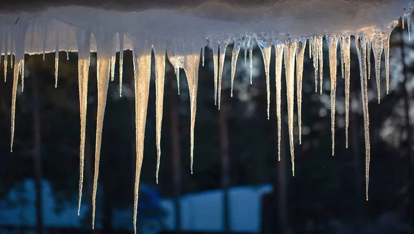 Gyönyörű Jégcsapok Zár Megjelöl Kilátás Gyönyörű Természet Háttérképek — Stock Fotó