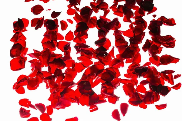 美しい背景が赤 ロマンチックな背景 赤いバラの花びら — ストック写真