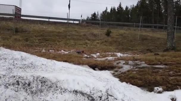 短片显示五颜六色的 玩具车跳过雪 降落在草地上 美丽的背景 — 图库视频影像