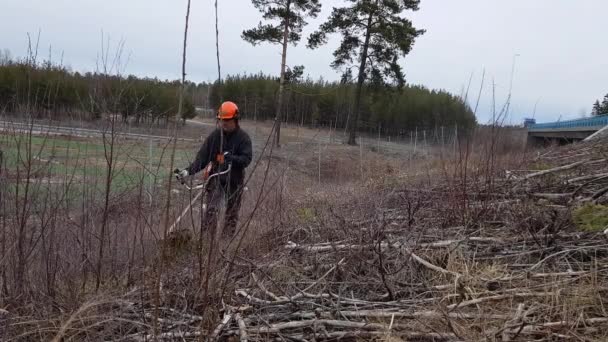 Männlicher Arbeiter Schneidet Sträucher Triebe Mit Freischneider Frühjahrsputz Der Landschaft — Stockvideo