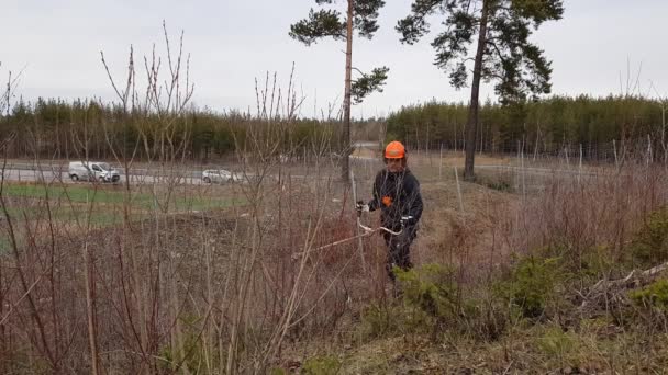 男性労働者は ブラシ カッターで茂みの枝を切っています 春の風景の夏前に清掃 — ストック動画