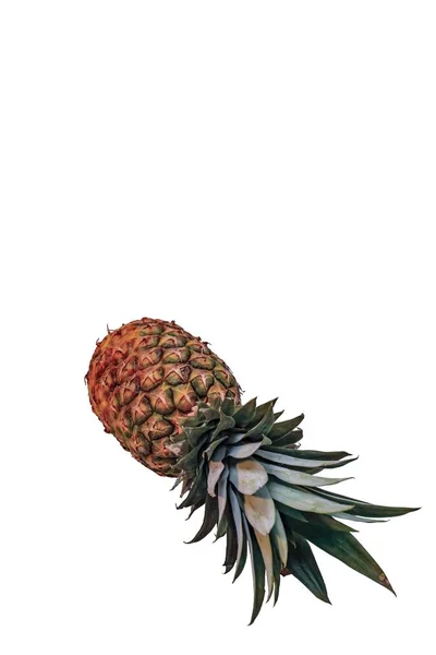 Ananas Fruta Isolada Vista Perto Fundos Frutas Frescas Alimentação Saudável — Fotografia de Stock