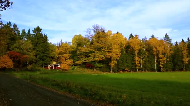 Beau paysage de campagne dans une journée d'automne. Des orangers verts et encore un champ d'herbe verte. Beaux milieux naturels colorés .