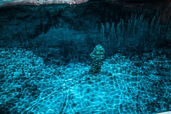 Magnífica Vista Las Cuevas Cristal Las Bermudas Hermosos Fondos — Foto de Stock