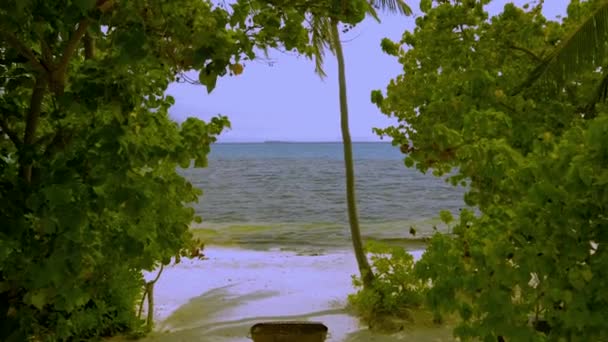 Vue Sur Eau Turquoise Bleue Magnifique Océan Indien Travers Des — Video