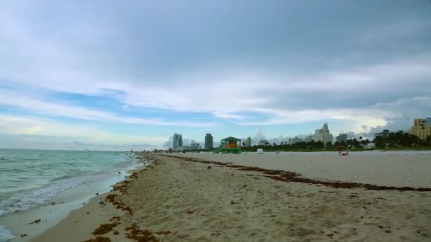 Increíble Belleza Horizonte Océano Atlántico Cielo Azul Gaviotas Miami South — Vídeos de Stock