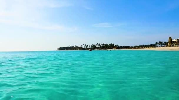 Nanılmaz Güzel Karayip Deniz Plajı Aruba Adası Güzel Doğa Arkaplanı — Stok video
